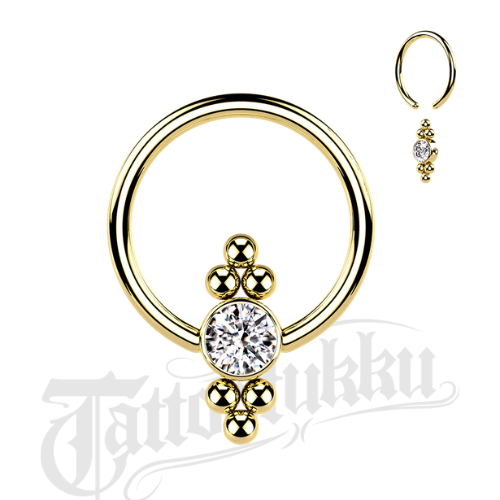 CZ Rengas &ndash; Klusterikoriste (Kulta)